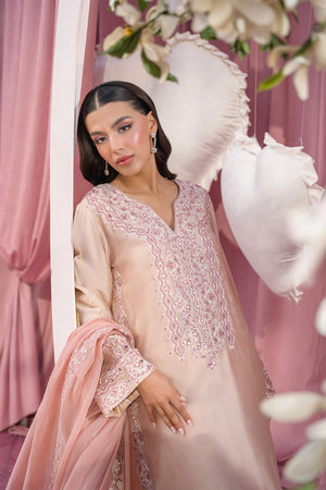 Blush Pink - Flairs Studio