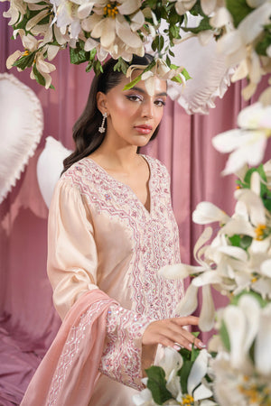 Blush Pink - Flairs Studio