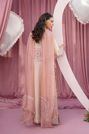 Blush Pink - Flairs Studio