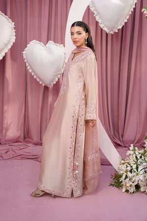 Blush Pink - Flairs Studio