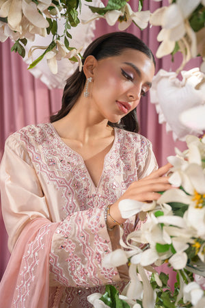 Blush Pink - Flairs Studio