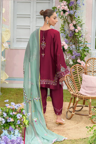 A woman stands outdoors wearing a traditional three-piece salwar kameez outfit. The set features a deep maroon kameez jacket with intricate embroidery on the sleeve cuffs and hem, matching maroon pants, and a contrasting mint green dupatta with floral embroidery.


