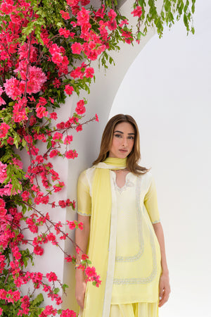 ButterCup - Flairs Studio