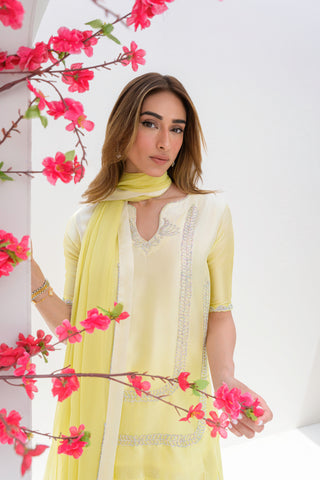 ButterCup - Flairs Studio